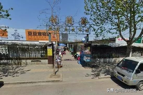 现在进石家庄批发市场要什么 (石家庄各个批发市场在哪)