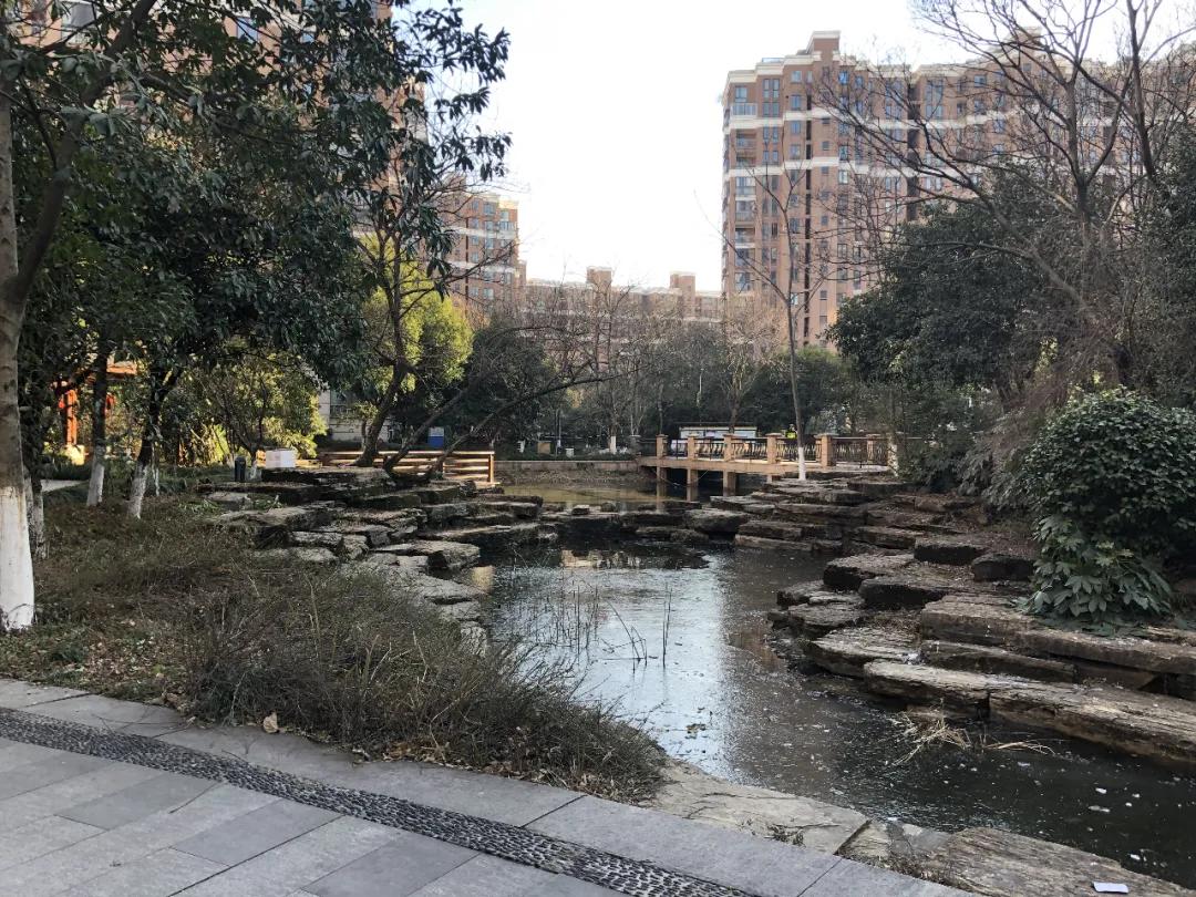 落寞！曾风靡杭州的“国际滨”一线江景房，如今许多只能卖4万+