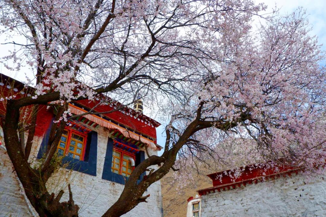 吐血整理！拉萨拍照最美的6个地方，轻轻松松拍出大片