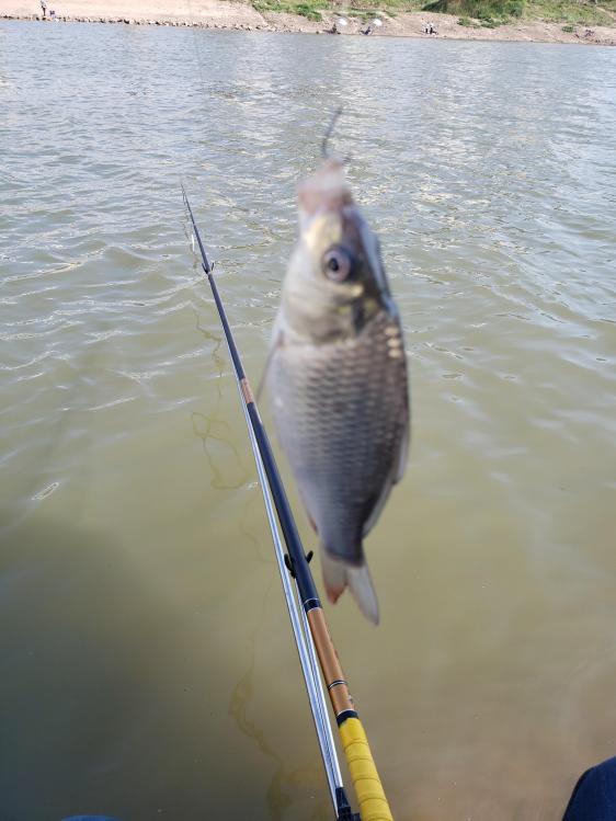 金迦潘钓杆,金迦潘求败渔具好用吗