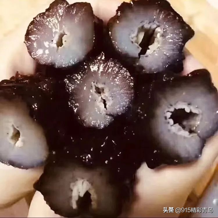 中国最好的海刺海参,黄金刺参西沙群岛深海纯野生海参