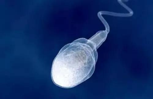 七夕紧急通知,与男友共度情人节后丧失生育能力