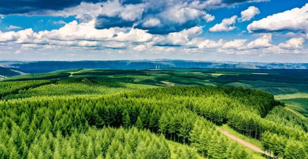 集团喜讯丨中天昊集团金秋十月中标合集