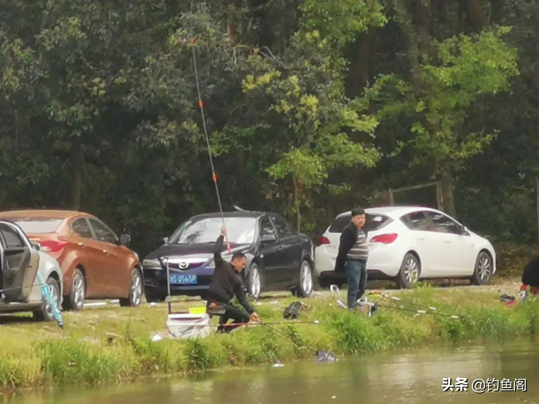 钓太阳鱼怎么选钓位视频,钓太阳鱼怎么选地方钓最好