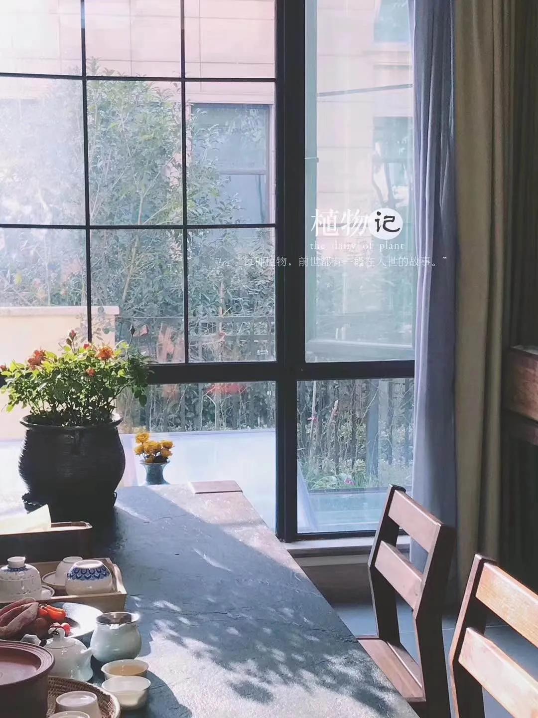 一直独居一直爽，我家长这样