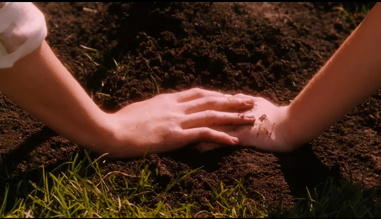 拿命试药的年轻人真的值得吗？一次可以挣1万块，却要用一生来还