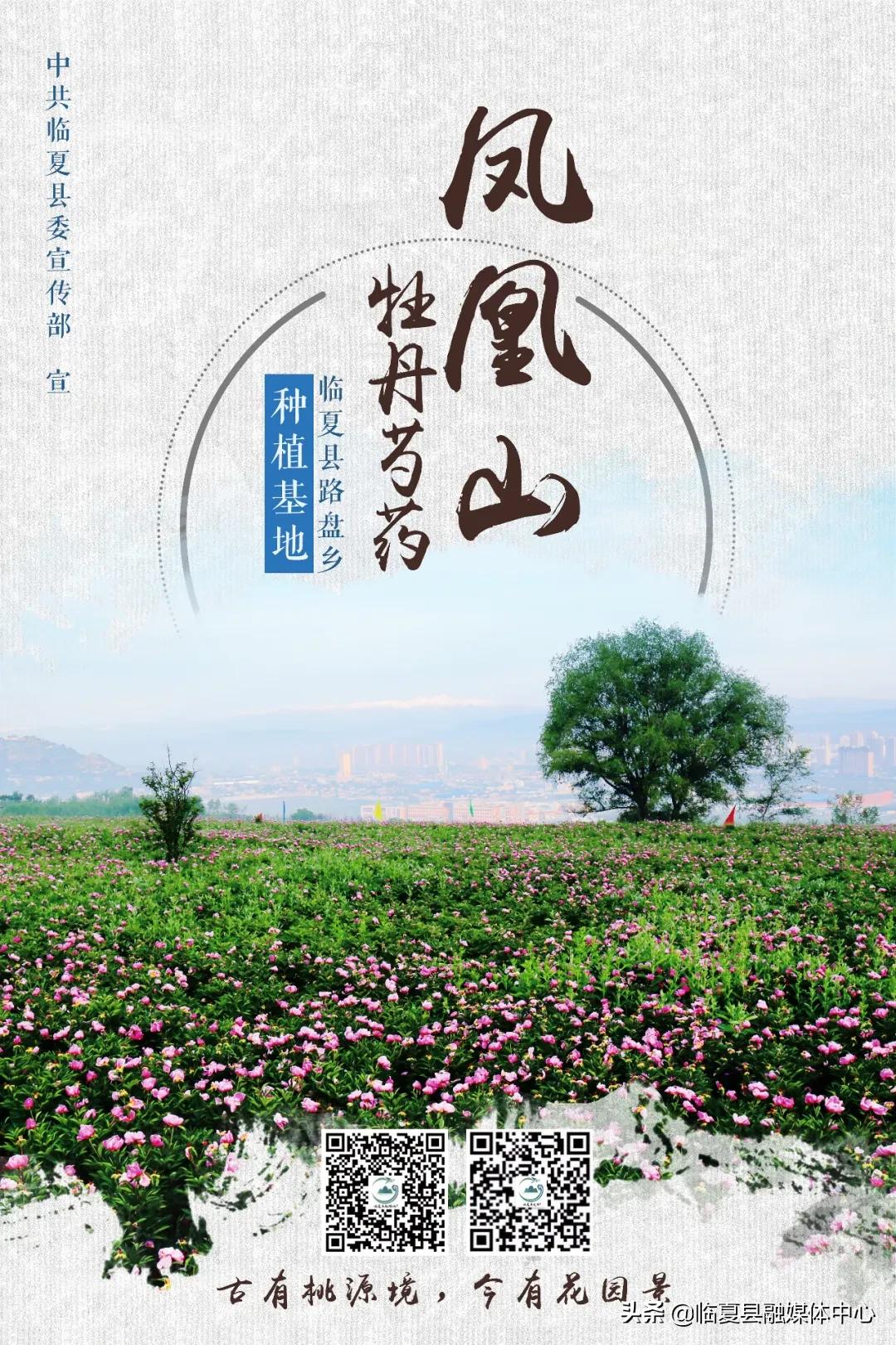 甘肃省2024年劳动模范名单,甘肃省劳动模范先进人员名单