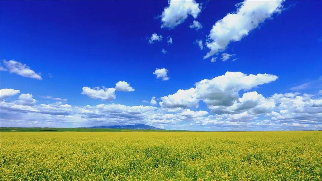 春暖花开等你来赏花,春暖花开等你来赏花原唱视频