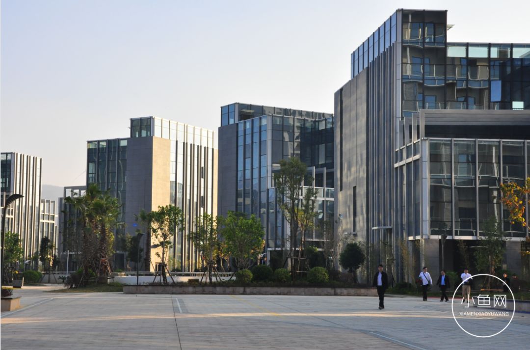 鬼城or未来可期？我们走进漳州港，发现“接盘侠”的各种悲喜交加