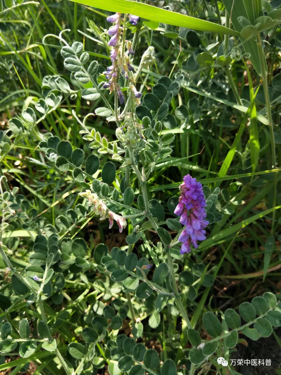 跟我回家在线免费看,跟我回家免费看