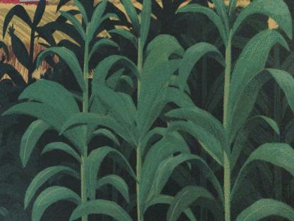 这套让娃沉迷一整天的科普书，连大人都忍不住偷着玩！畅销300万