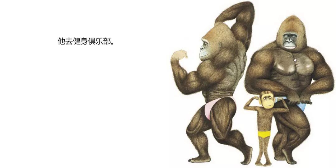 胆小鬼威利绘本阅读思维导图,胆小鬼威利故事绘本视频