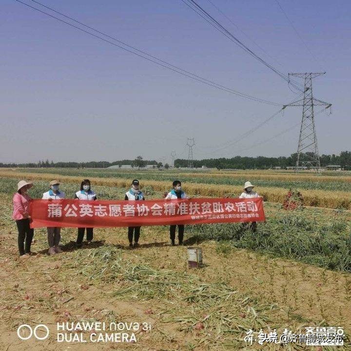 找记者上壹点｜聊城一贫困户家中洋葱滞销，志愿者解燃眉之急