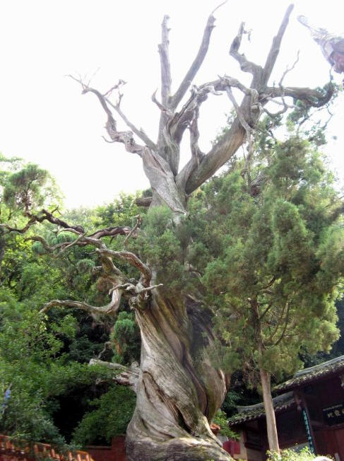 西昌邛海湿地全国排名,西昌邛海湿地