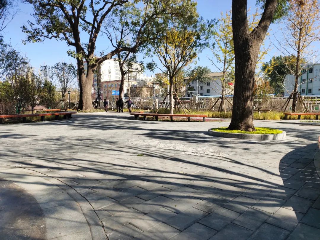 天坛公园周边,天坛旁边的公园