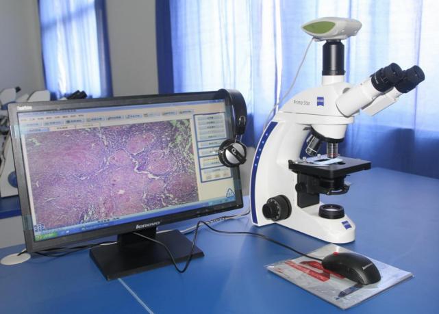 医学类最吃香的三个专业，毕业后薪资待遇高，很多医院抢着要