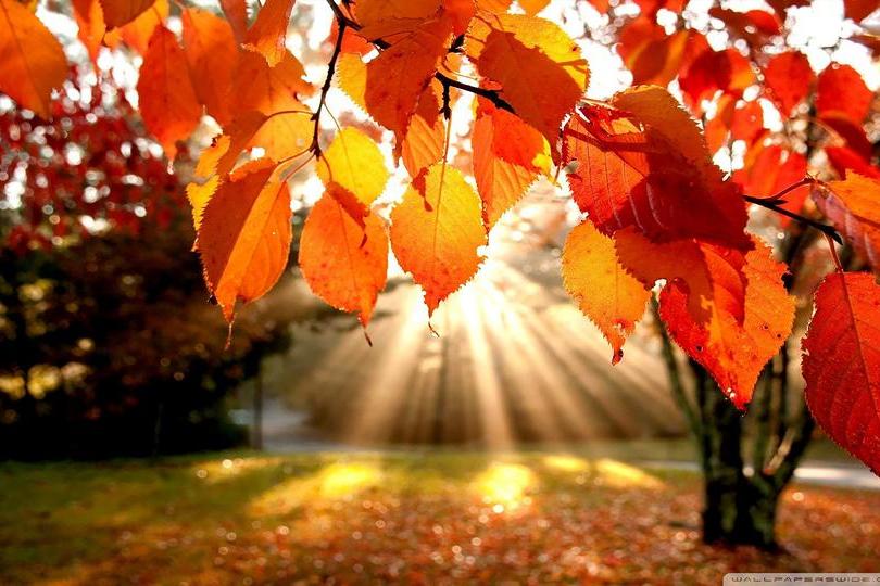 天清气爽却道天凉好个秋图片,天晴好个天