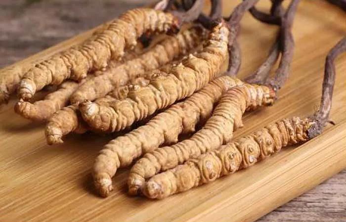 人工培育冬虫夏草价格,怎样区别人工种植的冬虫夏草