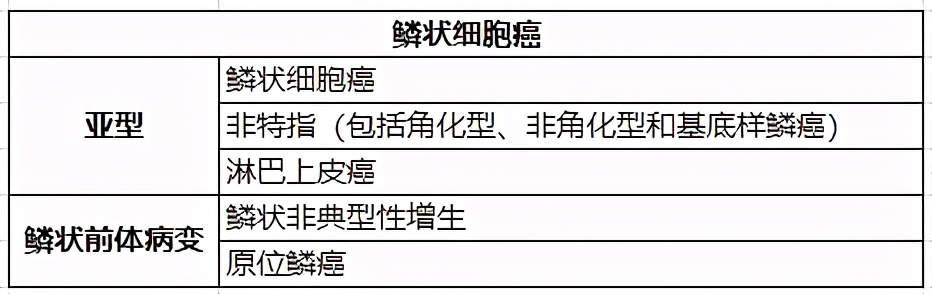 解读中华医学会肿瘤学分会肺癌临床诊疗指南(2021版)-病理学篇