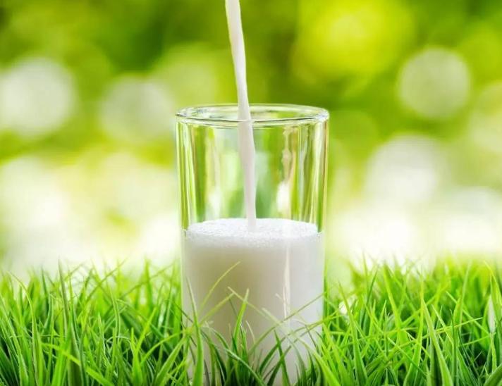 什么零食不是垃圾食品可以吃的,可以吃且对孩子有营养的零食