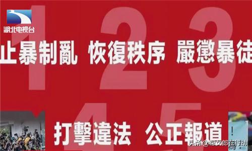 挺香港反*力暴**！饭圈女孩、帝吧网友出征外网，守护祖国绝不动摇
