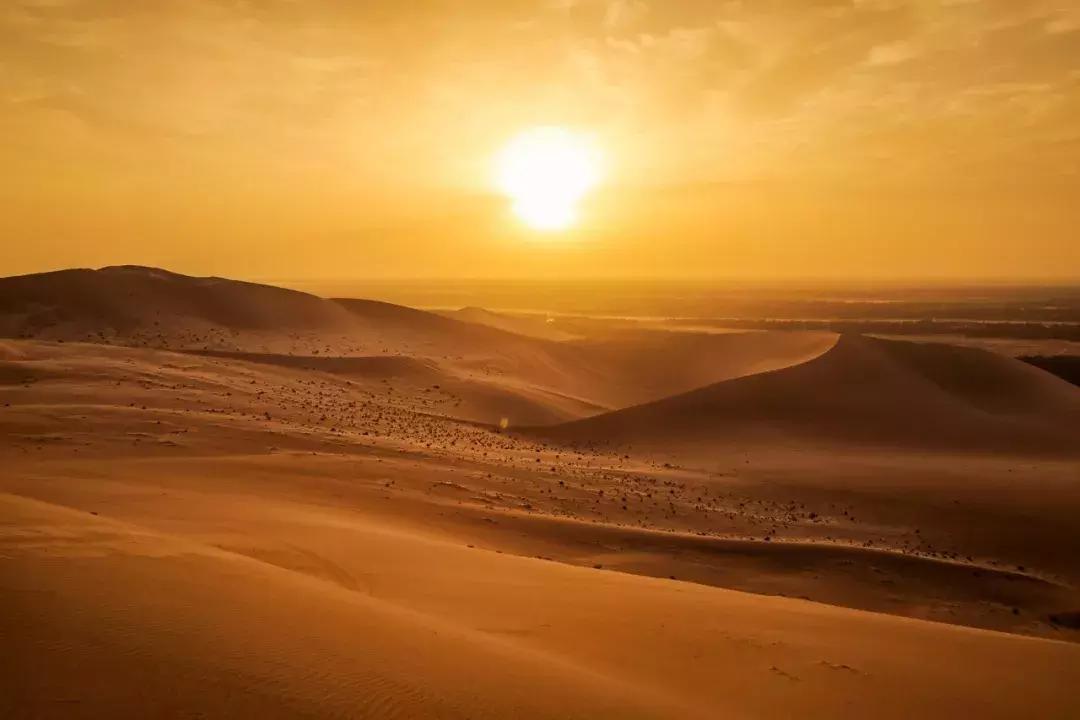 一个朝代一首诗带你看中国史,一个朝代一首诗吟诵中国史