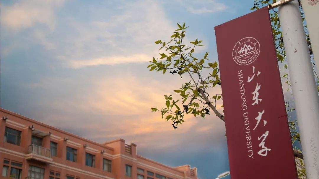 哈工大威海和山大综评,哈工大威海山大