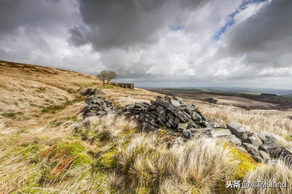 呼啸山庄艾米莉勃朗特诞辰200周年,艾米莉勃朗特在哪创作了呼啸山庄