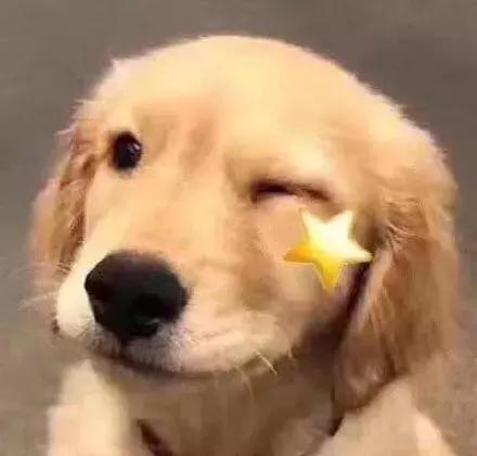 免签落地签的国家一览表,免签和落地签国家哪些值得去