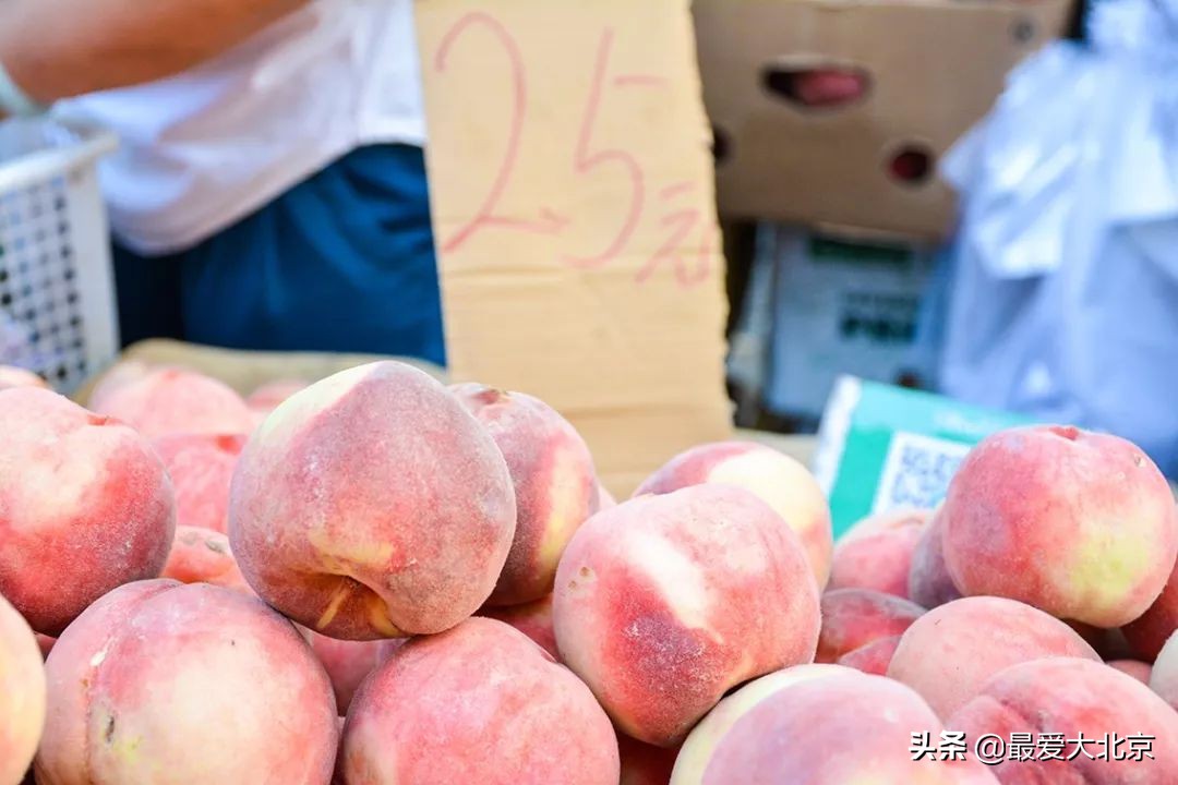 带你逛北京最大早市,北京正宗早市推荐
