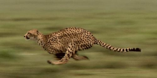 孙宏斌宏观微观中观,孙宏斌人格魅力