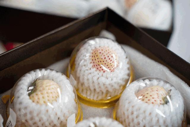 一下子吃了很多草莓,一下子吃了300g草莓