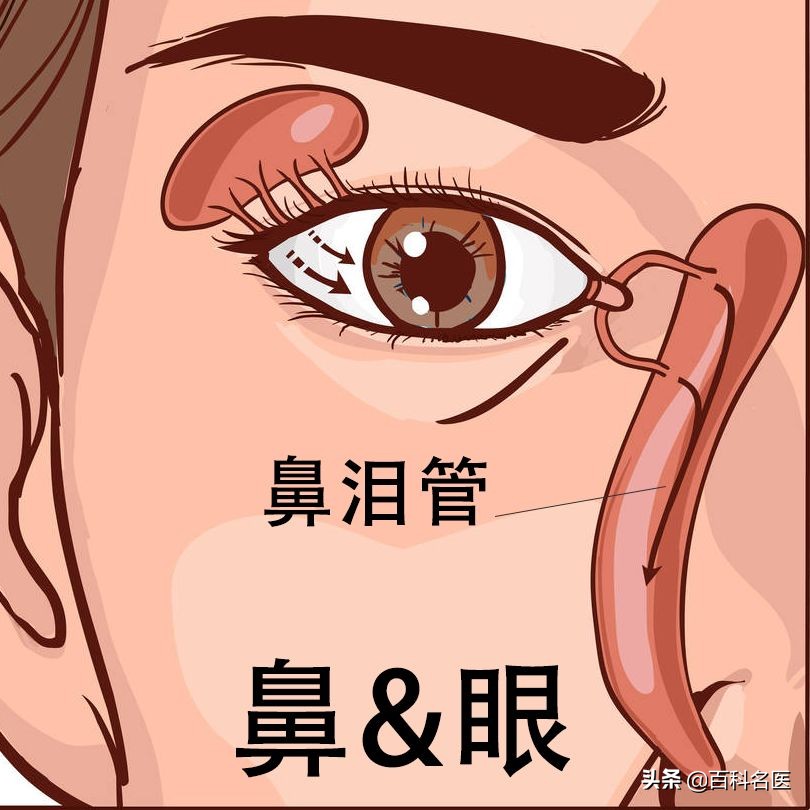 鼻炎和咽炎一起犯咳嗽厉害吗,鼻炎刺激嗓子咳嗽用哪个药缓解好