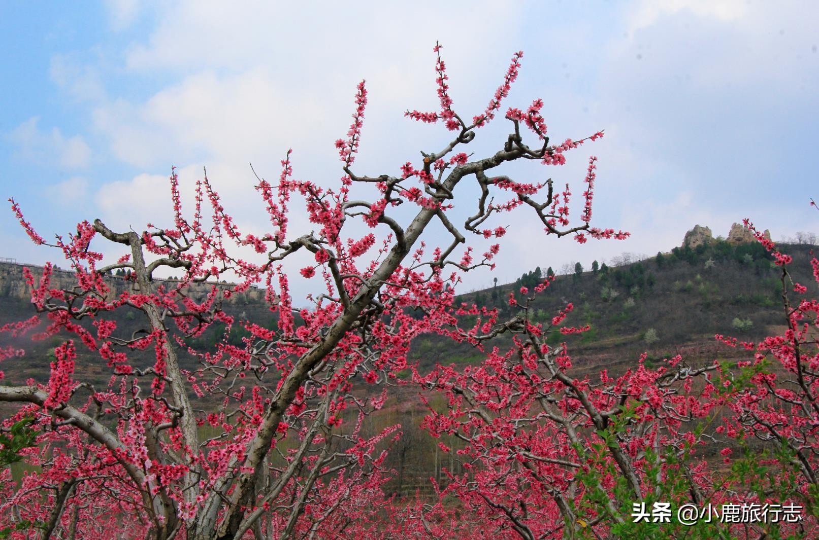 岱崮真是个美丽而神奇的地方,岱崮地貌典型代表景区