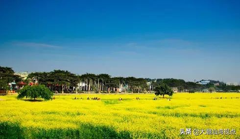 东莞市32个镇区名称,东莞市各个镇区