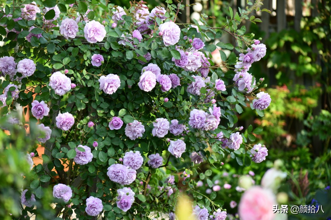 愿时光静止,愿时光静止在这一刻