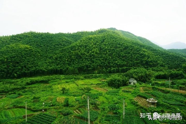 湖州旅游攻略三日游自由行夏季,湖州去武汉自驾游攻略最新路线