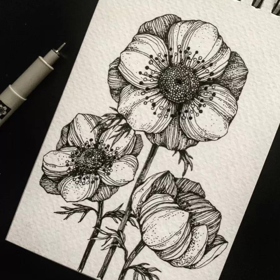 一看就懂的针管简笔画,针管笔入门手绘1000例临摹图