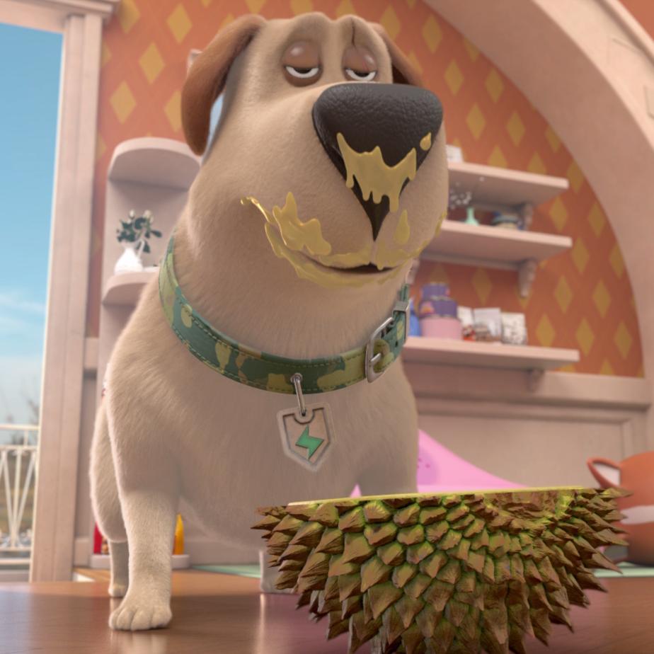 飞狗moco之小柯基的脑洞时刻,飞狗moco和他的小伙伴们