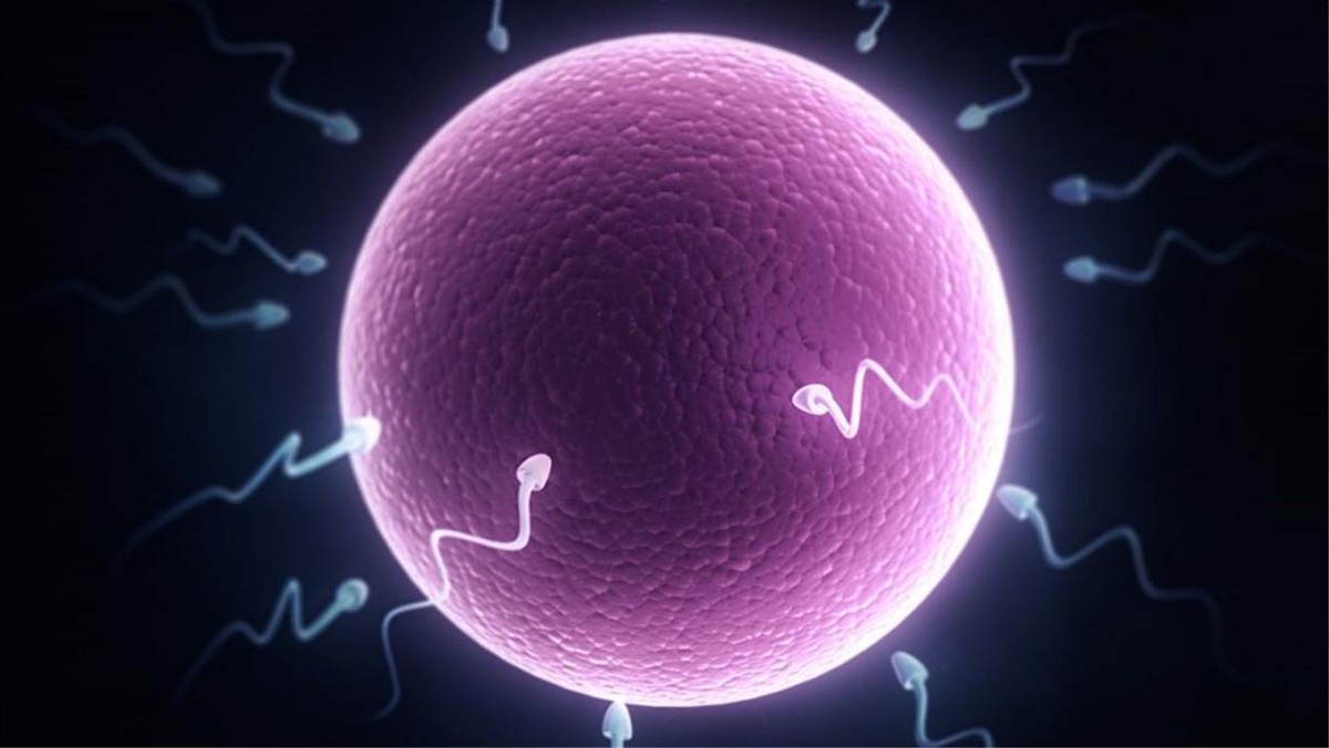 医学教授：2045年，男人可能会“弹尽粮绝”，人类无法自然生育了？