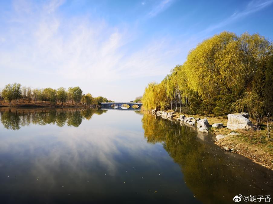 北京可以带宠物好玩的地方,北京宠物公园