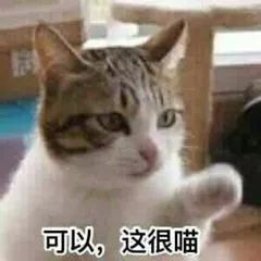 小ck2019简约小方包包,小ck哪款包包好看火爆