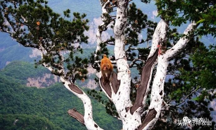 这就是生活第40集刘恺威,这就是街舞3