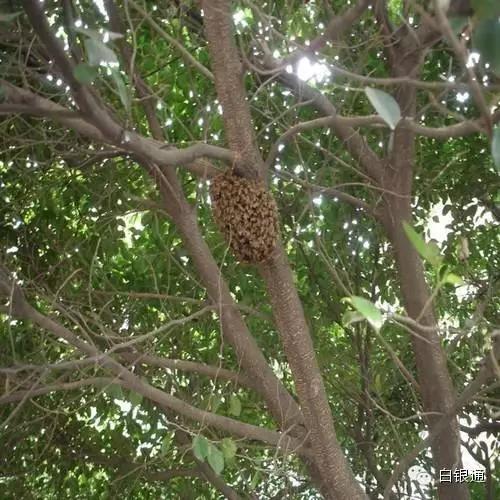 甘肃农村70后童年的回忆,白银市70后