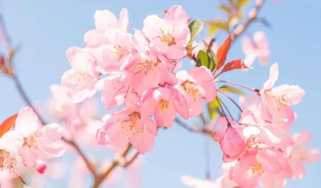 美过三亚！比厦门浪漫！中国这座海滨老城，去一次相当环游世界！