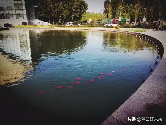 沈师复试通知,沈师现在让进吗