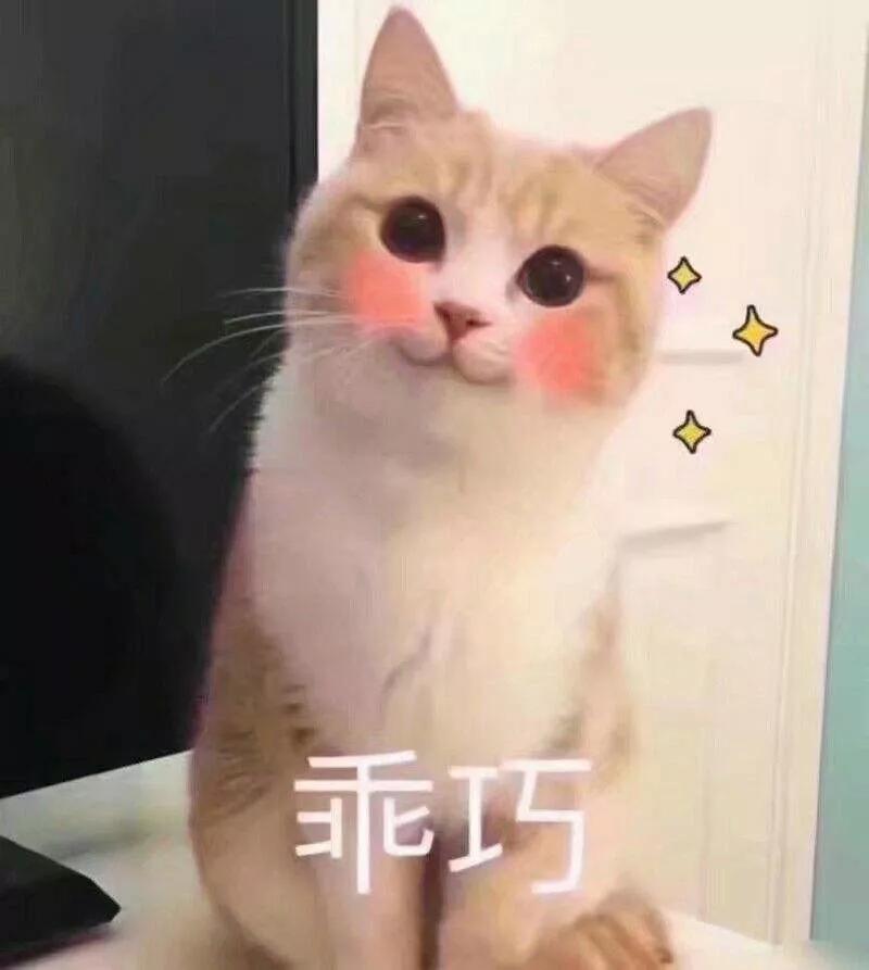 猫咪中暑的症状及治疗方法,猫咪生病铲屎官上班怎么办