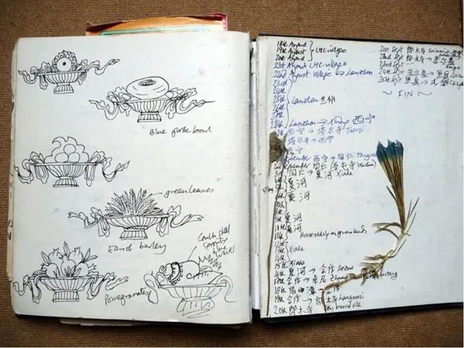 剑桥女学霸在中国学中餐,一个剑桥女学霸