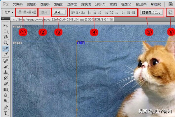 ps如何用切片工具切片,ps切片怎么移动位置