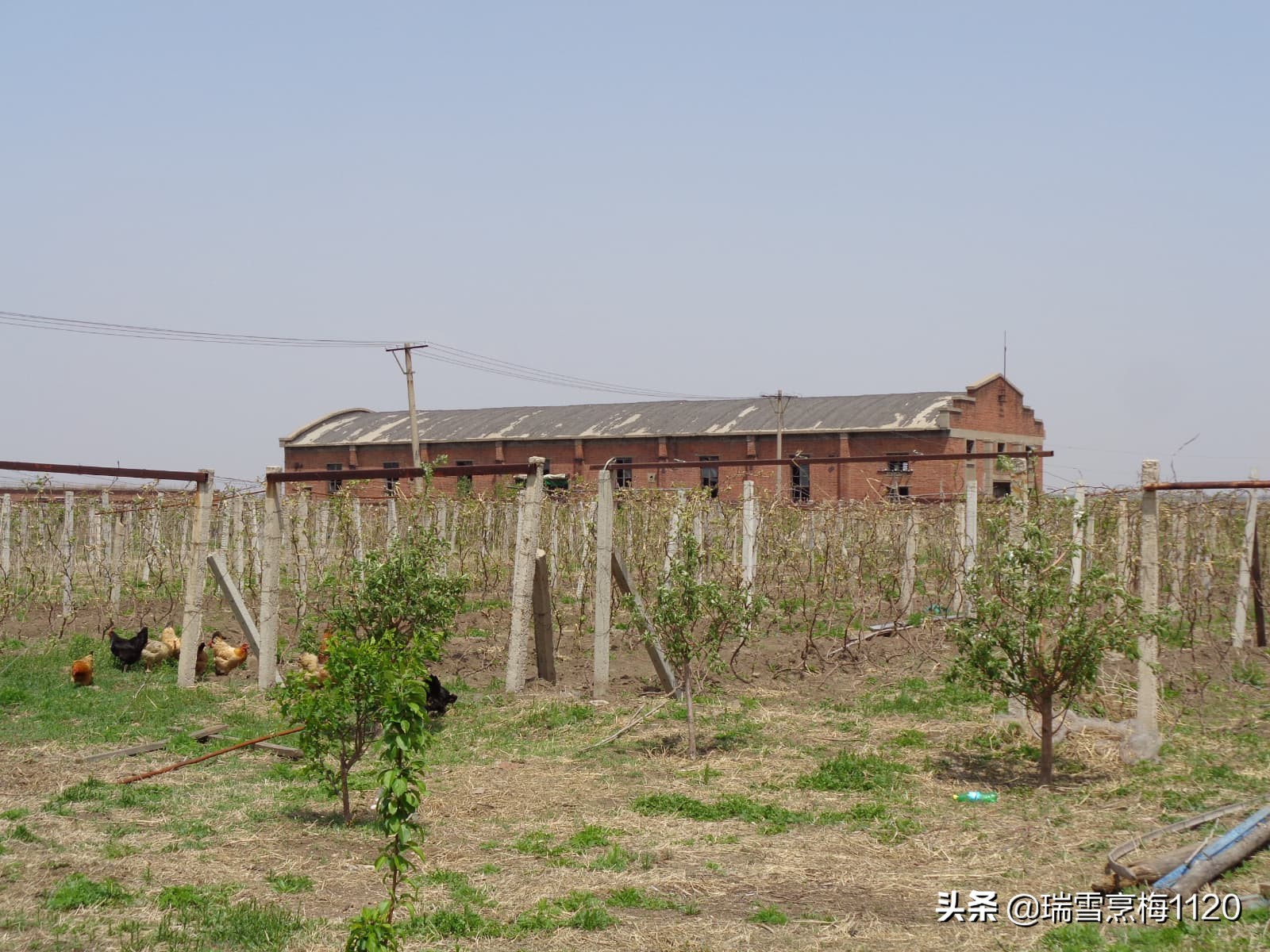沈北*物文**|沈北新区黄岗子五七干校牛棚旧址